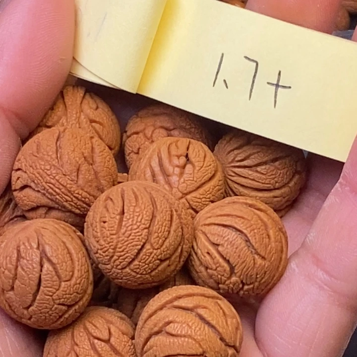 秦岭龙纹桃核15颗