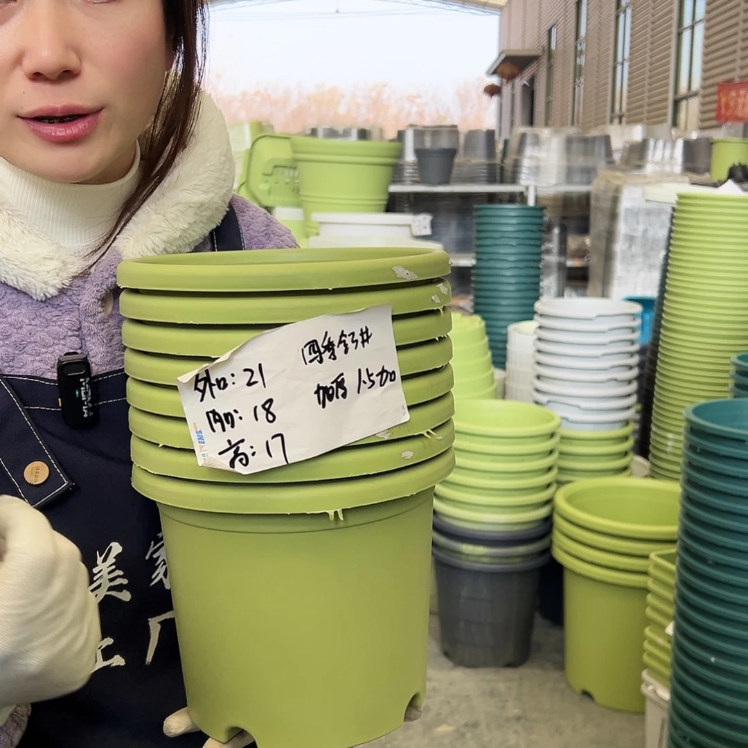 四季盆3#果绿10个无托