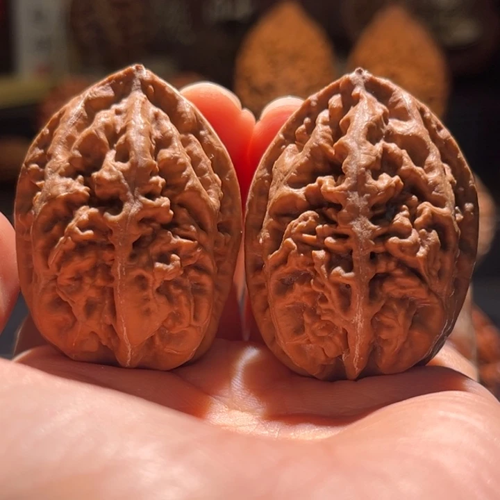 文玩核桃吊坠老树珊瑚纹58