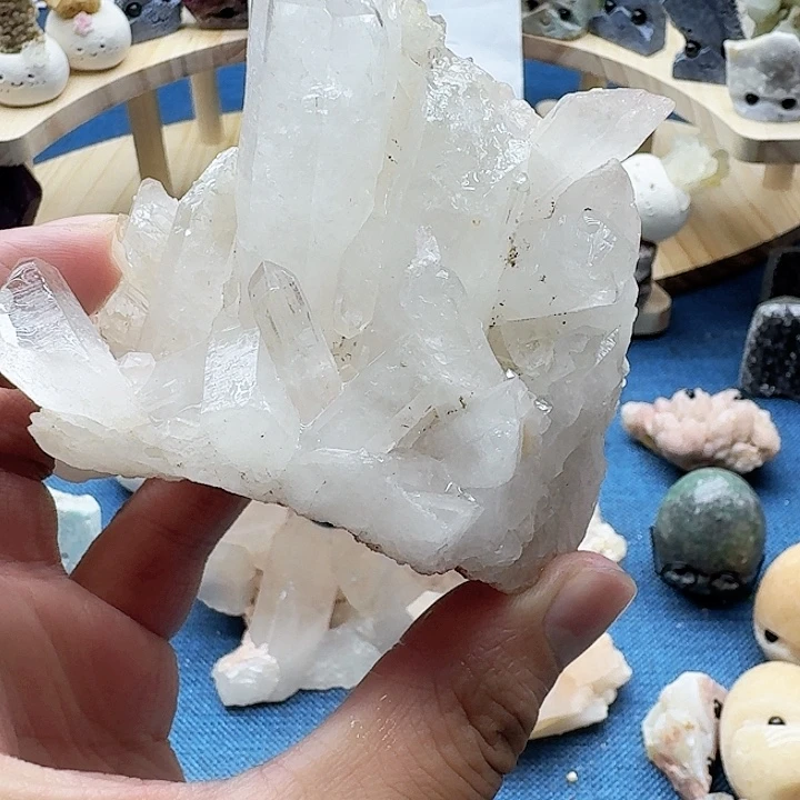 う***゛陶瓷000000000000000047