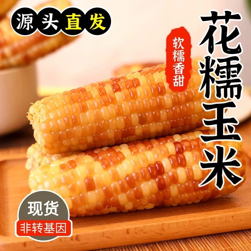 西双版纳花糯玉米香甜软糯真空包装早餐玉米