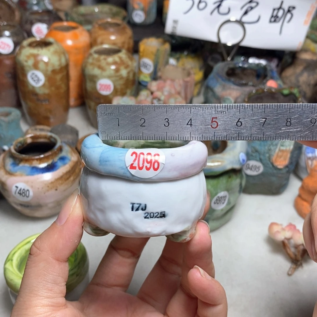 拍3送一个小礼物