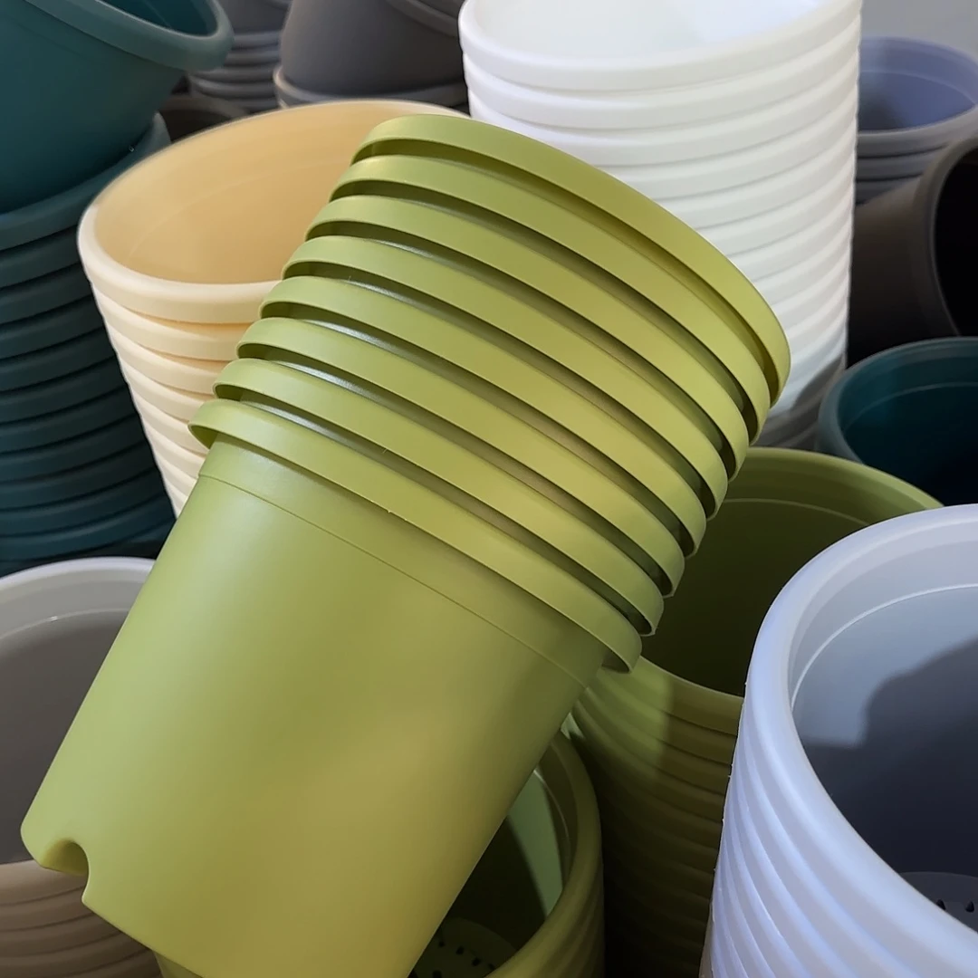 微瑕4号8个无托，果绿