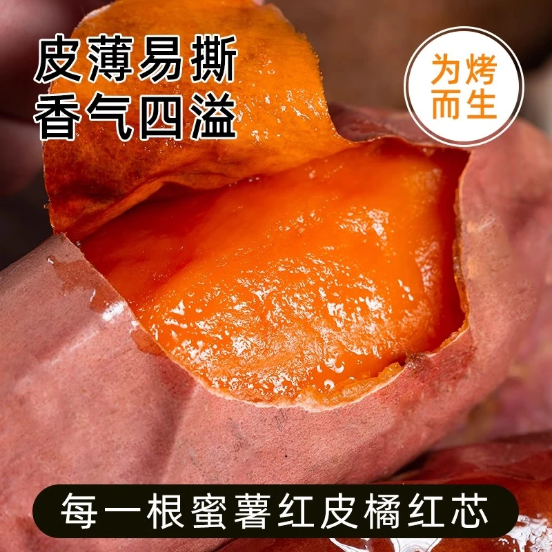 烟薯25号纯沙地蜜薯原产地河北保定沙地蜜薯红薯烤地瓜山芋番薯