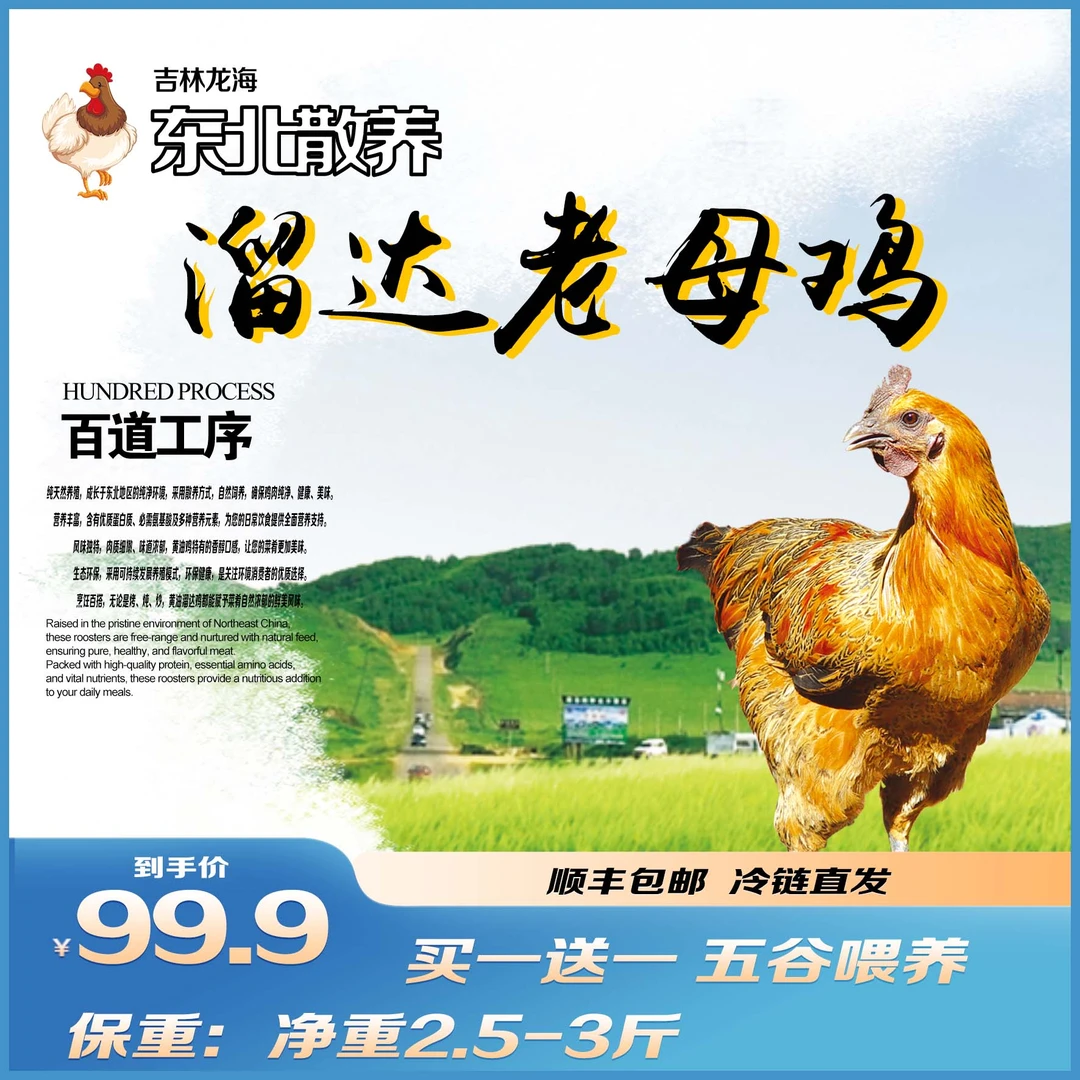 【小王支书】两年以上老母鸡2.5-3斤买一只送一只！ 包冰率其他