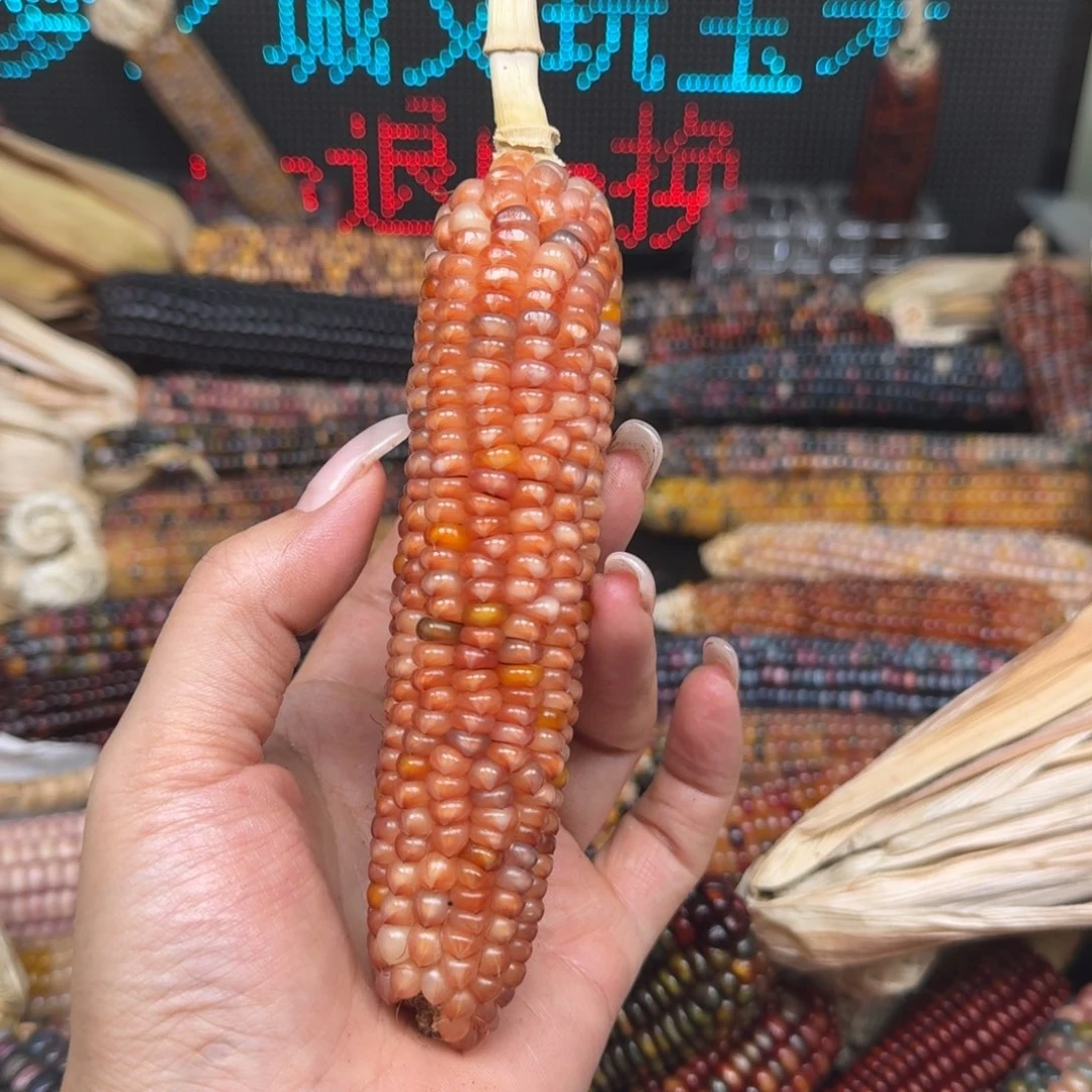 柏香籽/百香籽吊坠凌***油