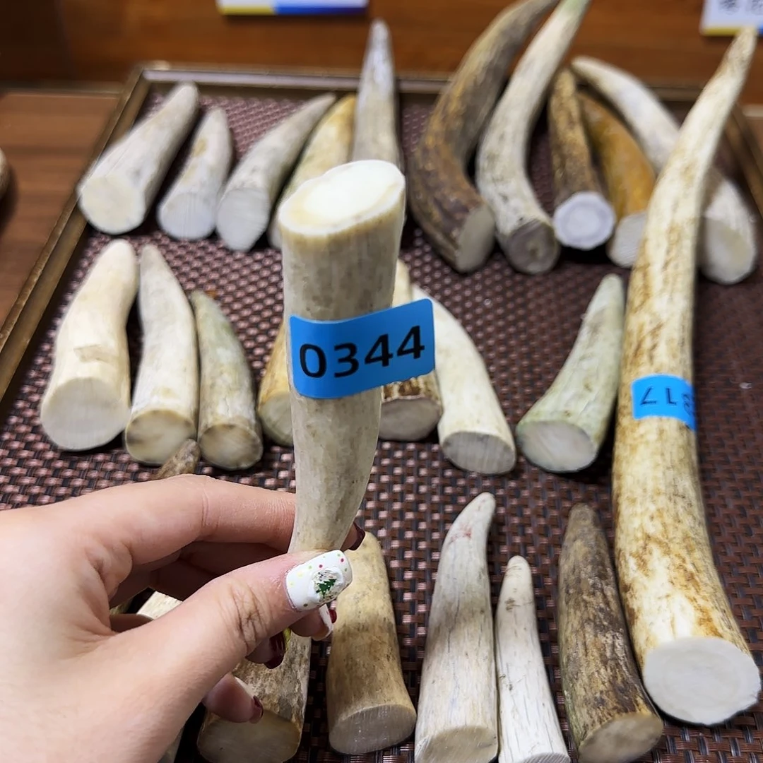 手串/手链鹿骨角尖0344