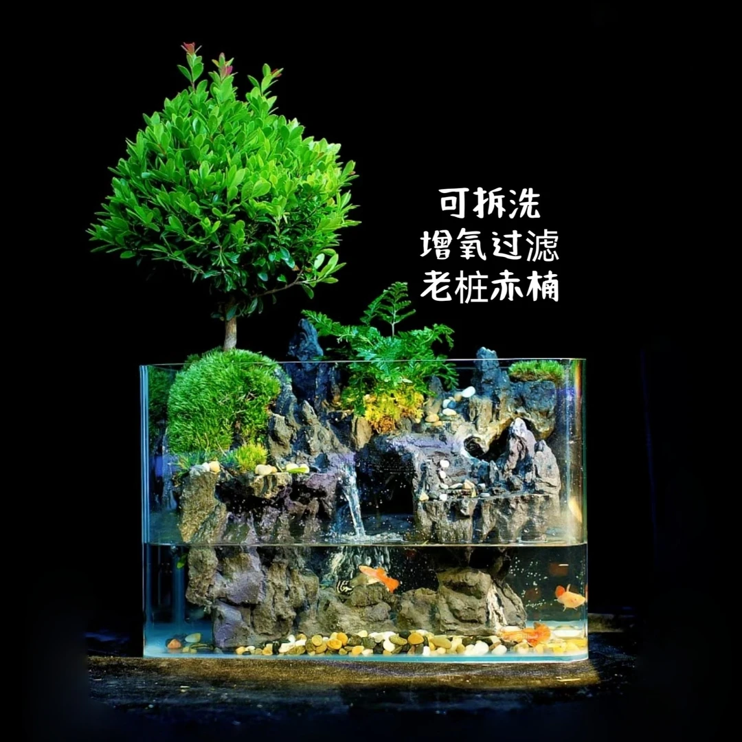 [微景] 江山 可拆洗 赤楠狼尾蕨可养鱼龟桌面景观30*18*16（带灯）