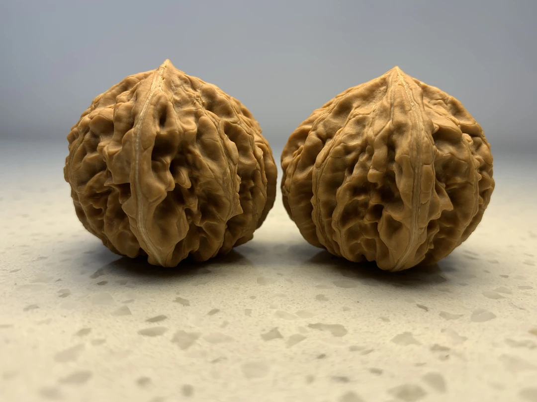 39尺红灯笼（小众果）