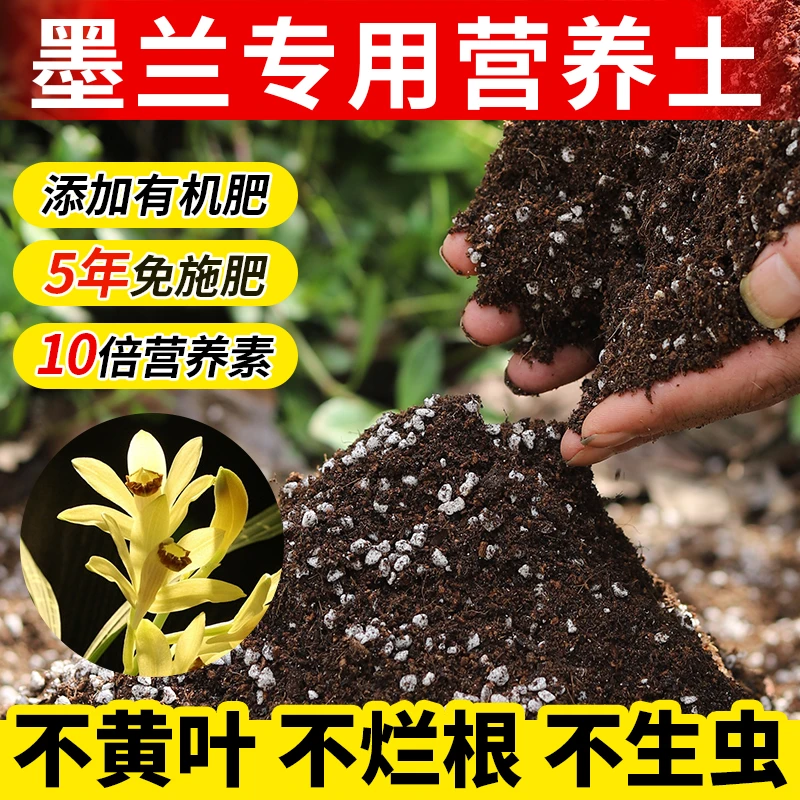 墨兰专用土墨兰营养土花土家用养花土茶花专用土正宗兰花专用花土