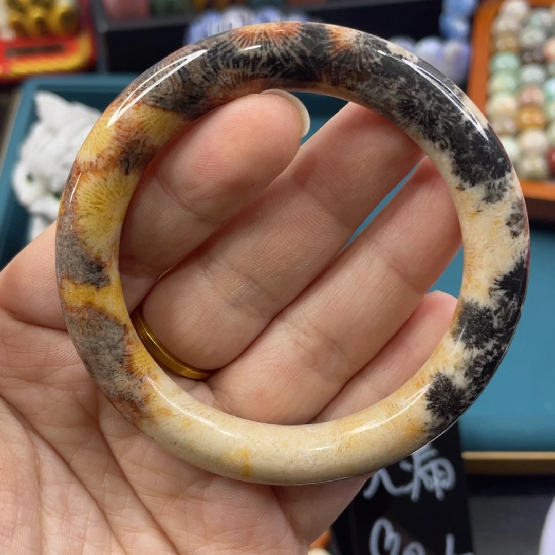 未镶嵌手镯硅化玉