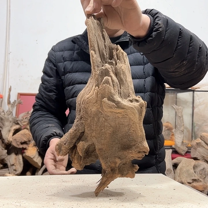 柏木阿****装我们都是好孩子呀我也