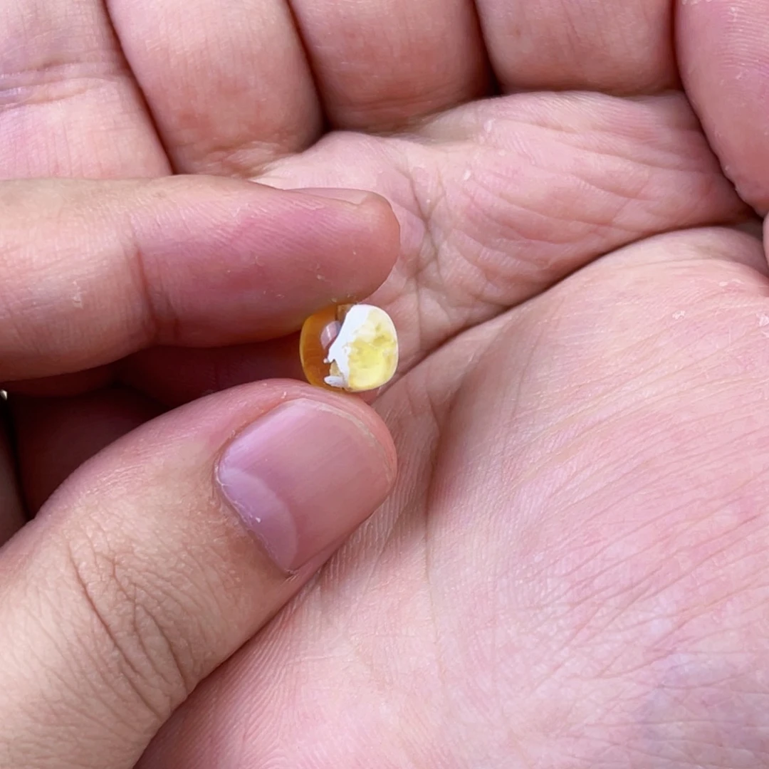 琥珀珠宝奇石未镶嵌?****s