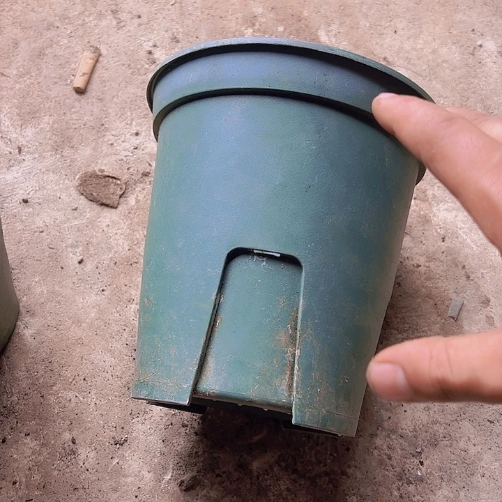 绿加仑口径17.5高18发10个