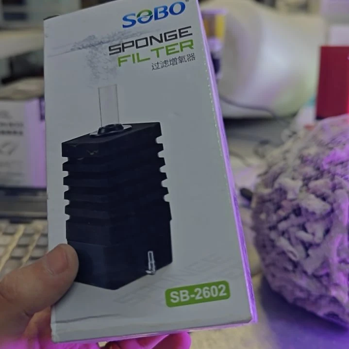 紫印母鱼水妖精sb2602