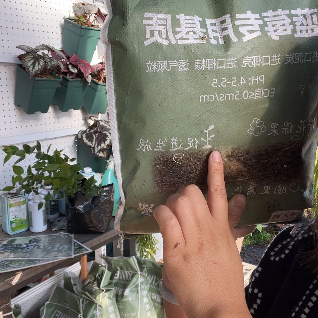 蓝莓土四袋土福利赶紧抢