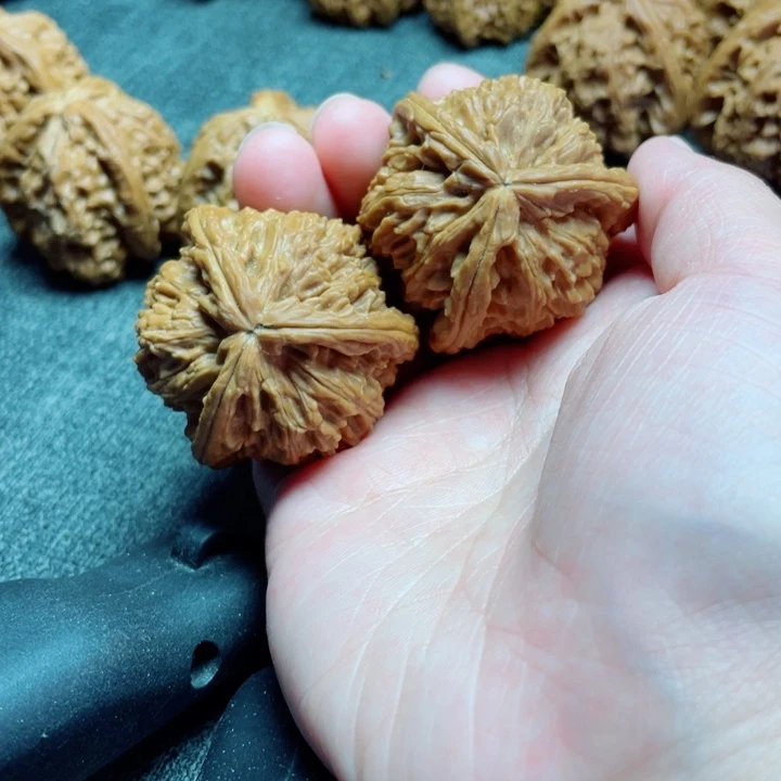 j***谦手工三棱白狮子三棱