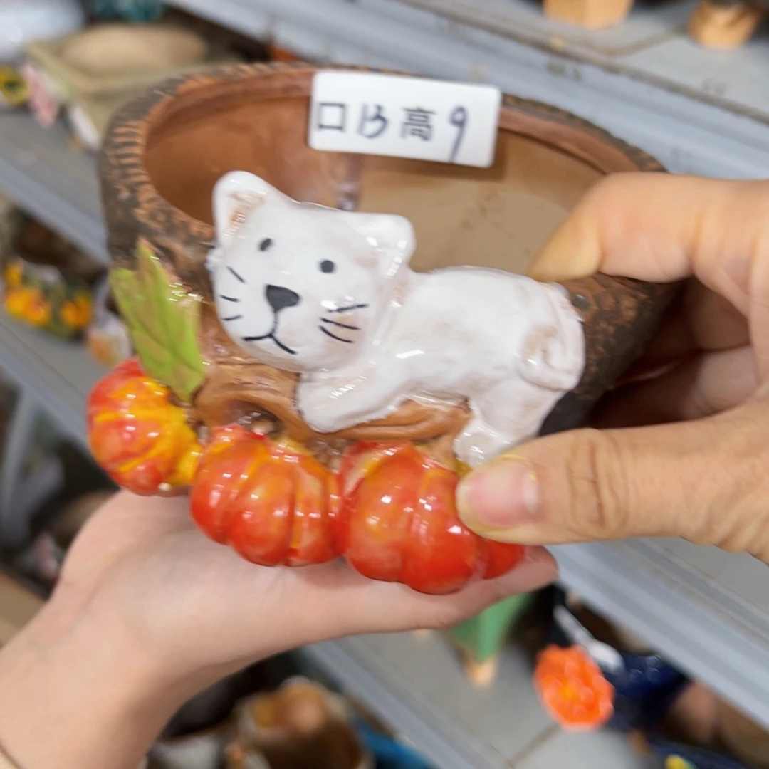 拍满20包邮，爱退款拉黑