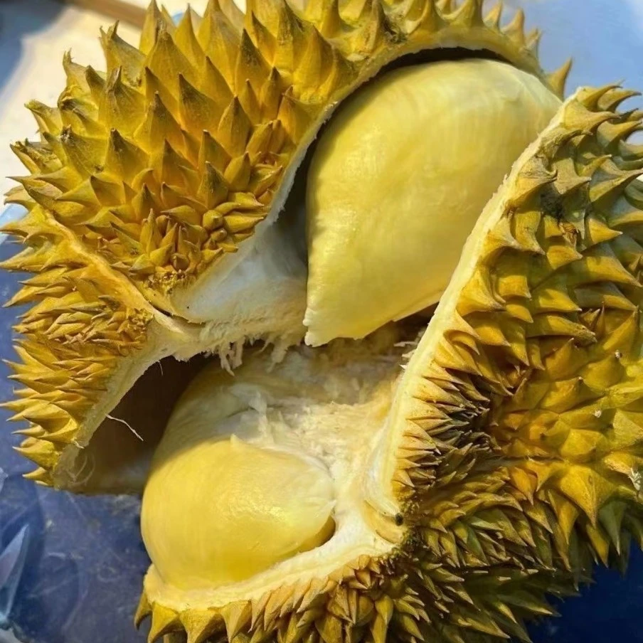 泰国新鲜金枕榴莲软糯香甜核小（现拔1.5斤净果肉）金枕泰国