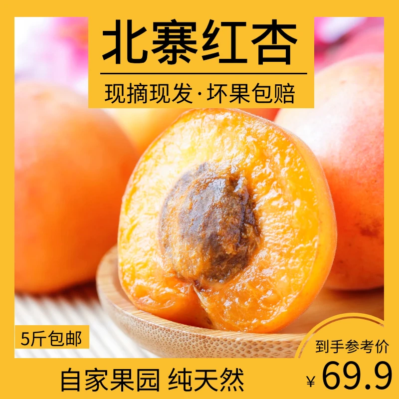 平谷北寨金太阳～平谷黄杏～现摘现发4.5斤北京市