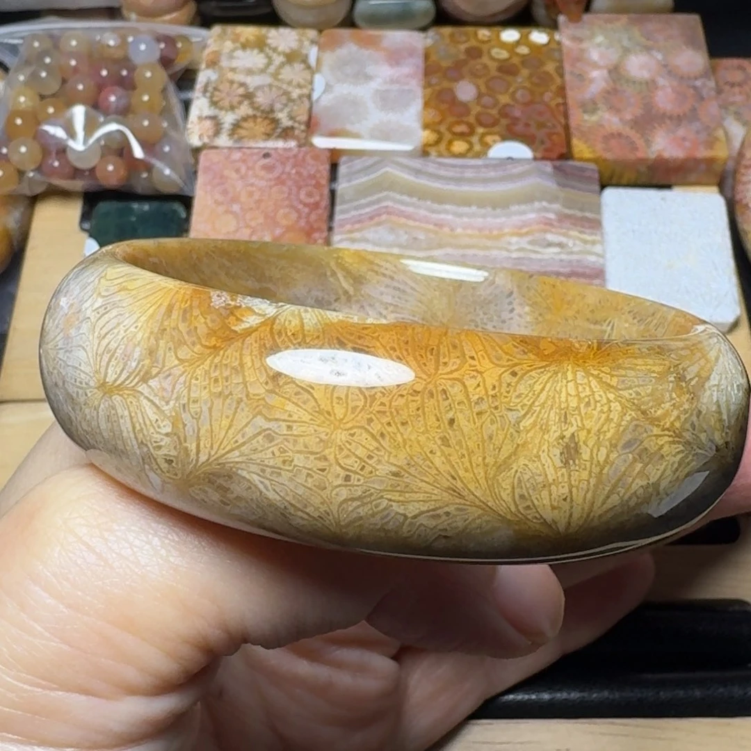 硅化玉59生动的凤尾可盘，有瑕特价未镶嵌