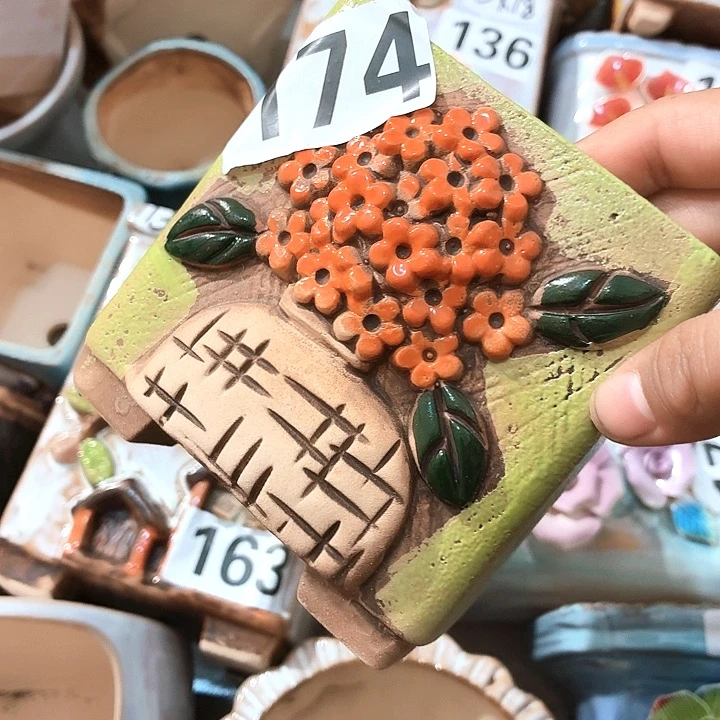 多肉花盆满15包邮