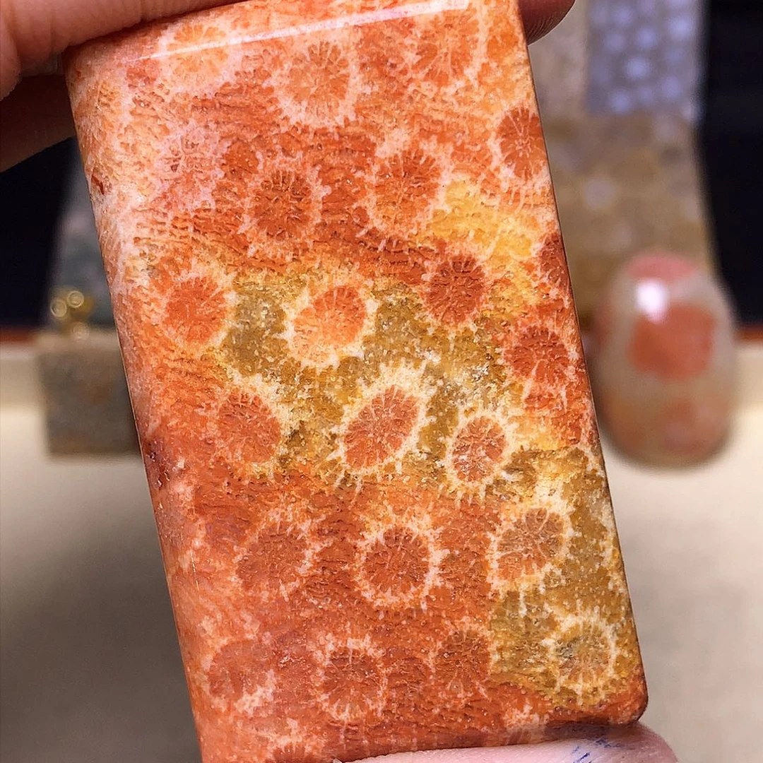 硅化玉珠宝奇石合金阳**好