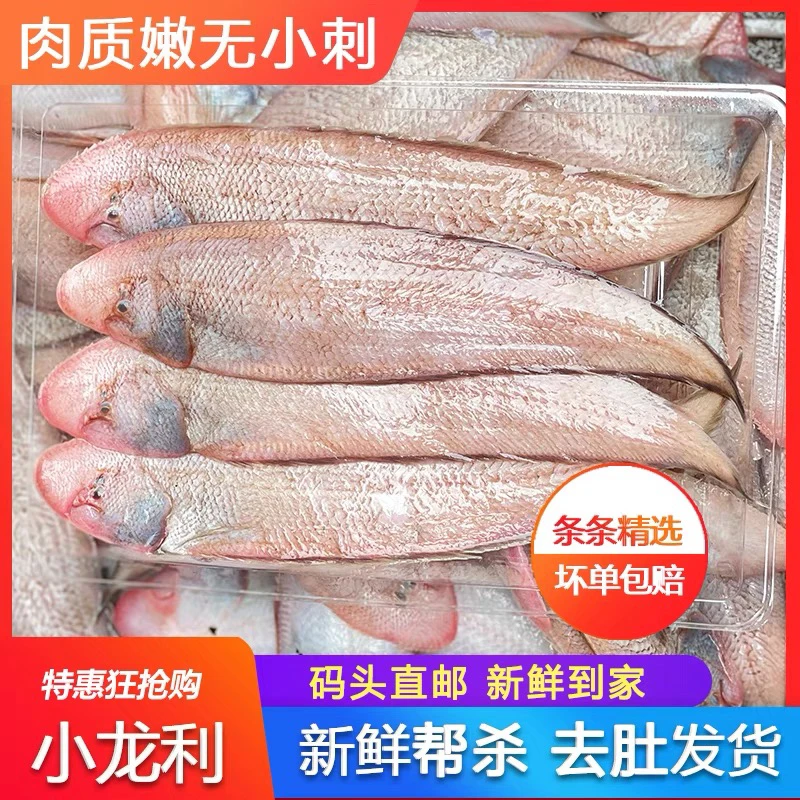 神泉本港龙利鱼5斤广东包邮，一斤8条左右杀好400克／5盒