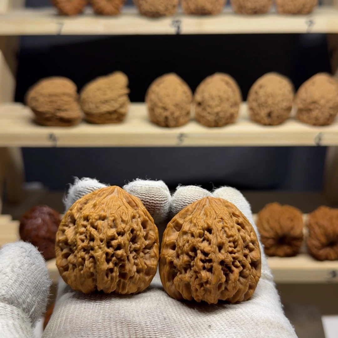 【闪购商品】ꪡ****森40尺