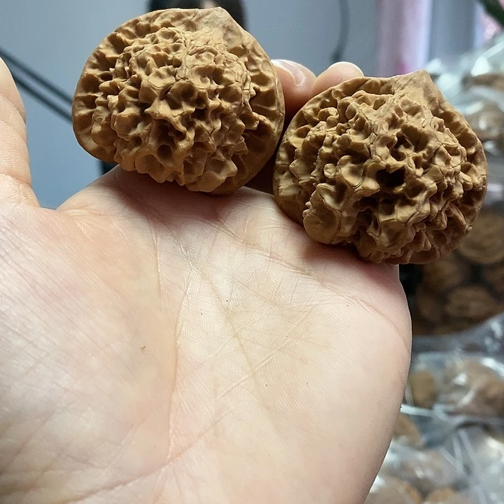 文玩核桃把件45.5官帽老树