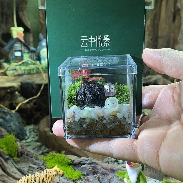 无花朵方寸之间的生态系统