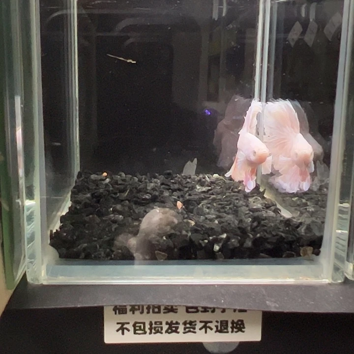 斗鱼跑单拉黑17日17