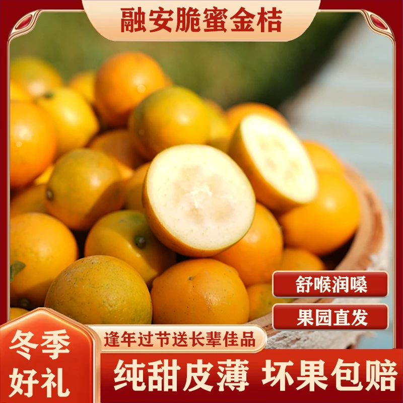 广西融安第三代脆蜜金桔纯甜无酸新鲜现摘皮薄多汁礼盒装顺丰包邮