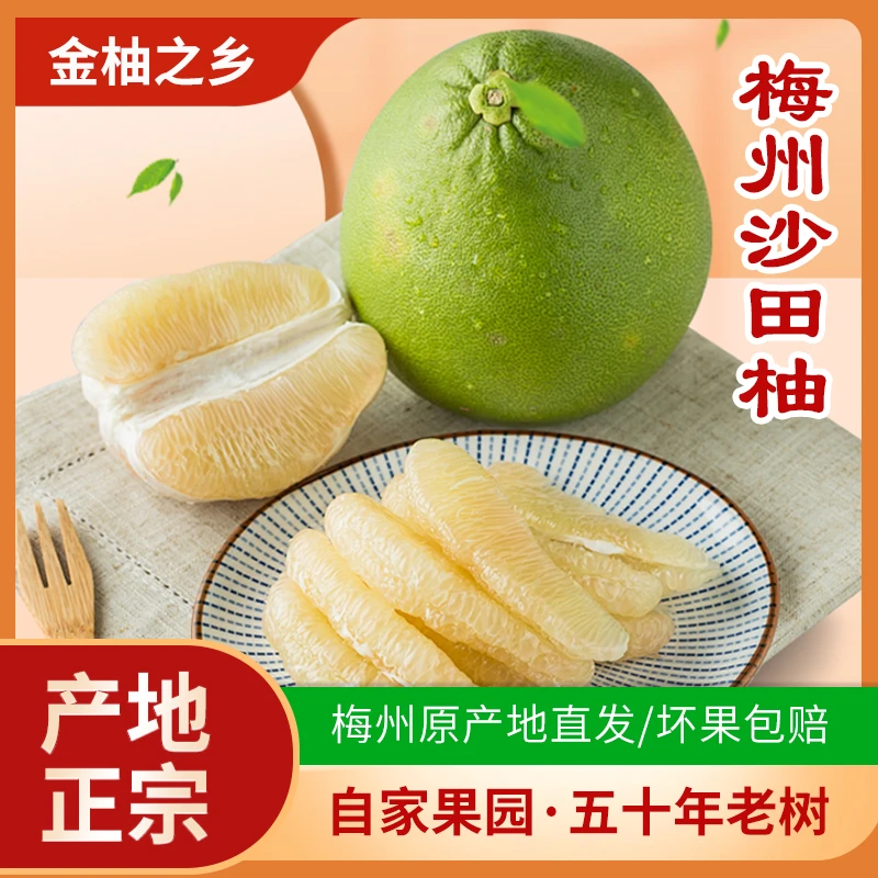 (中大果）正宗梅州沙田柚老树沙田柚子纯甜不酸高山老树柚产地直发