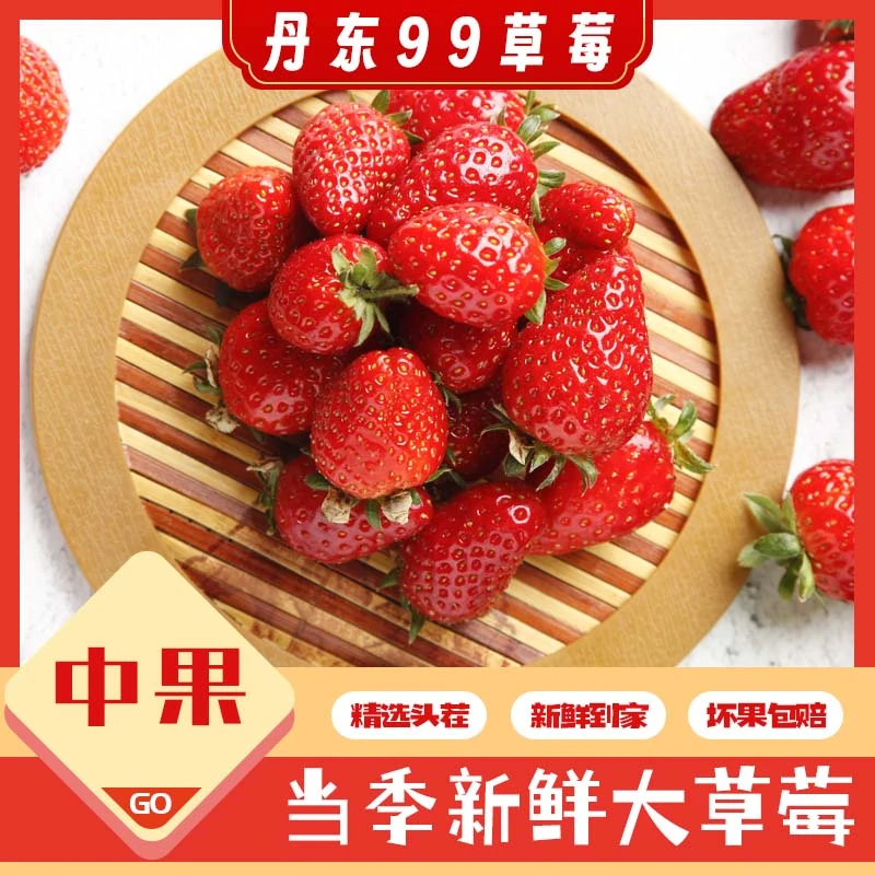 【赏味期】丹东九九草莓（中果）（辽宁省内发货）