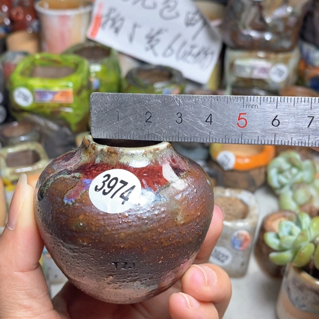 拍5送一个小礼物