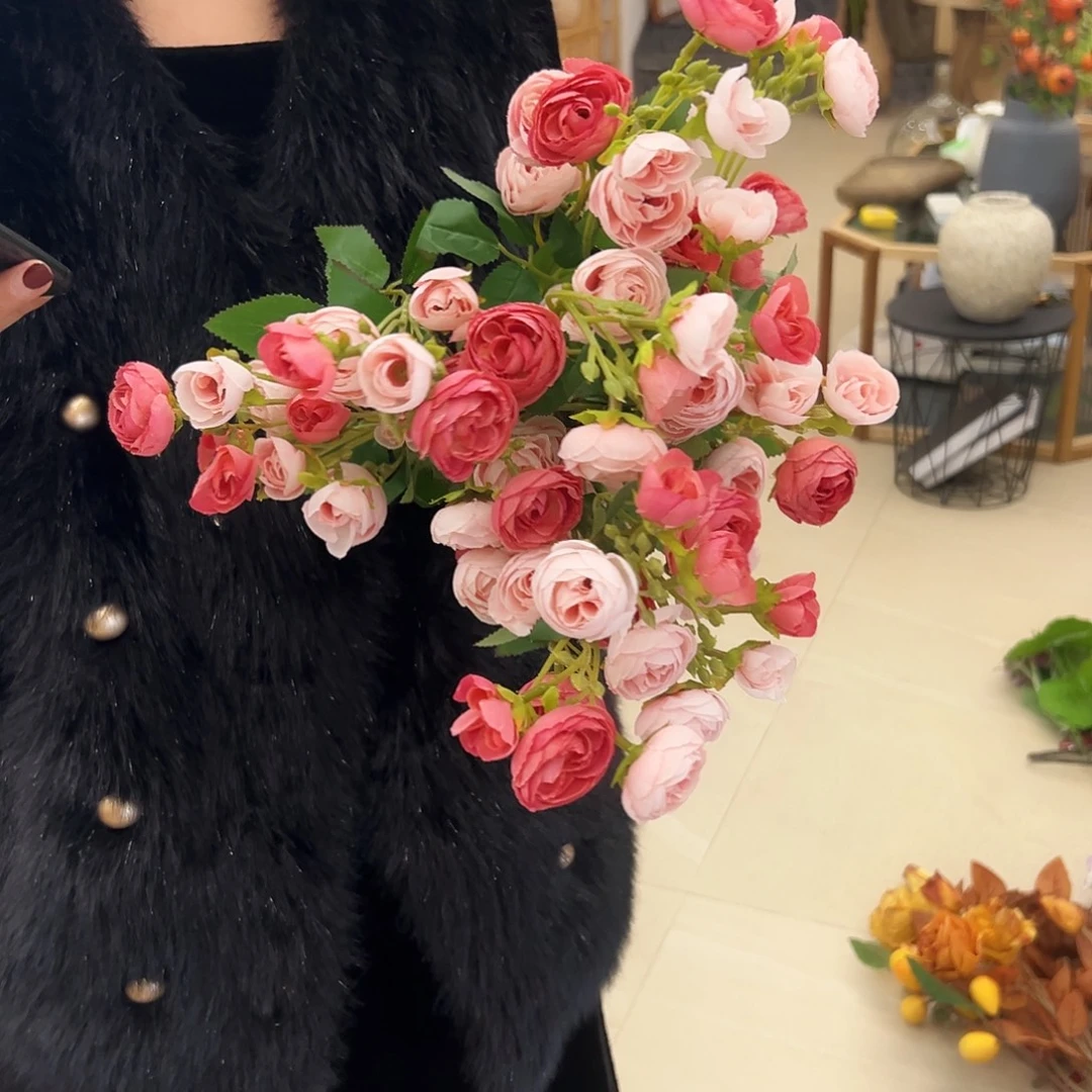 抖音直播福利五只