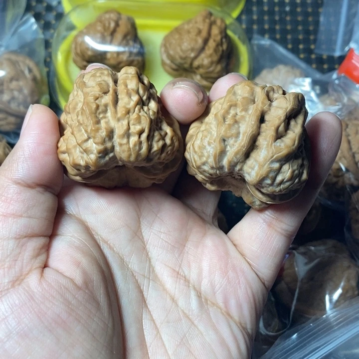 文玩核桃把件蛤蟆41全