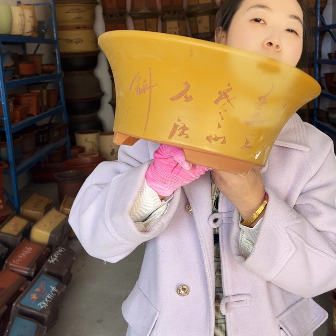 33黄票口花盆花盆花盆