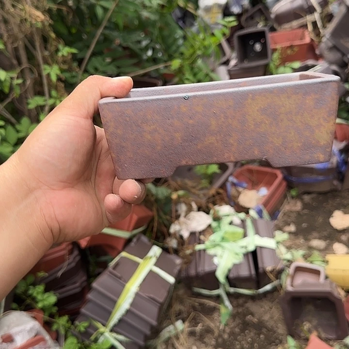 不会让他的人生充满期待吧哈哈
