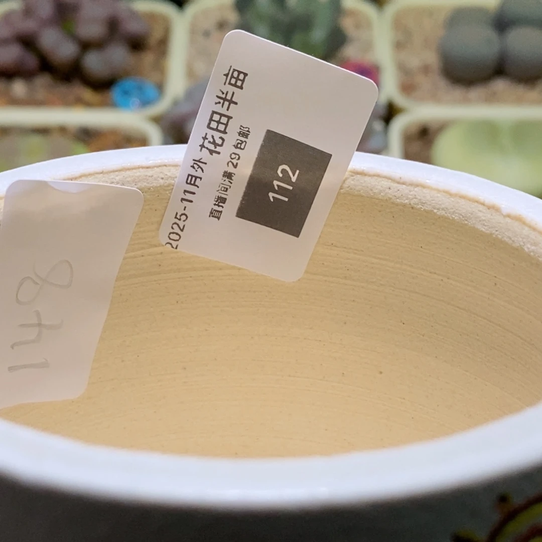 1***e原盆复刻一颗盆盆