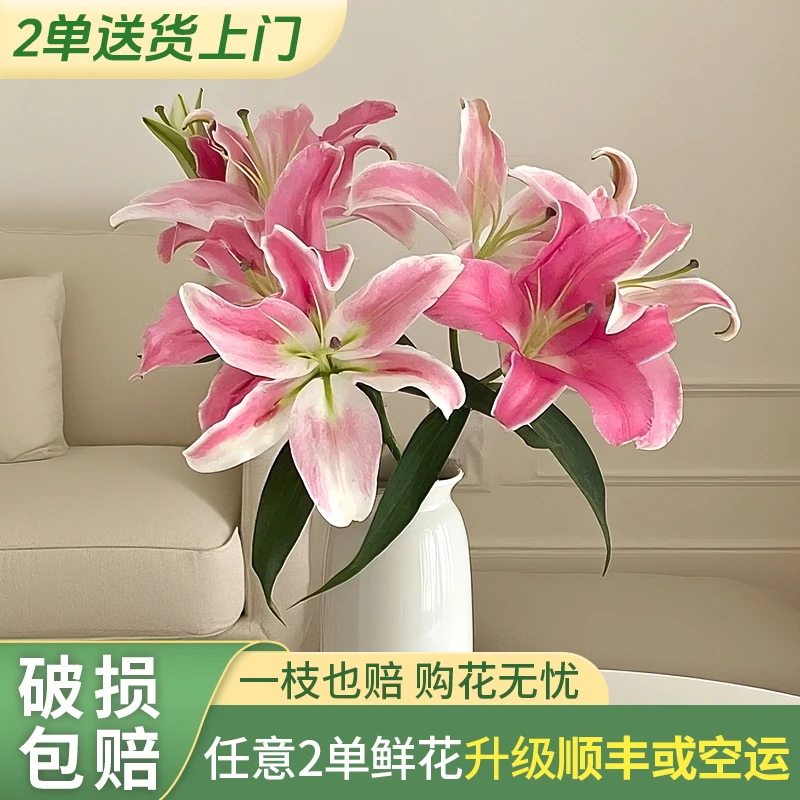 【两个老六卖花花】马龙果百合 任意2单升级快递 发货后不支持退款