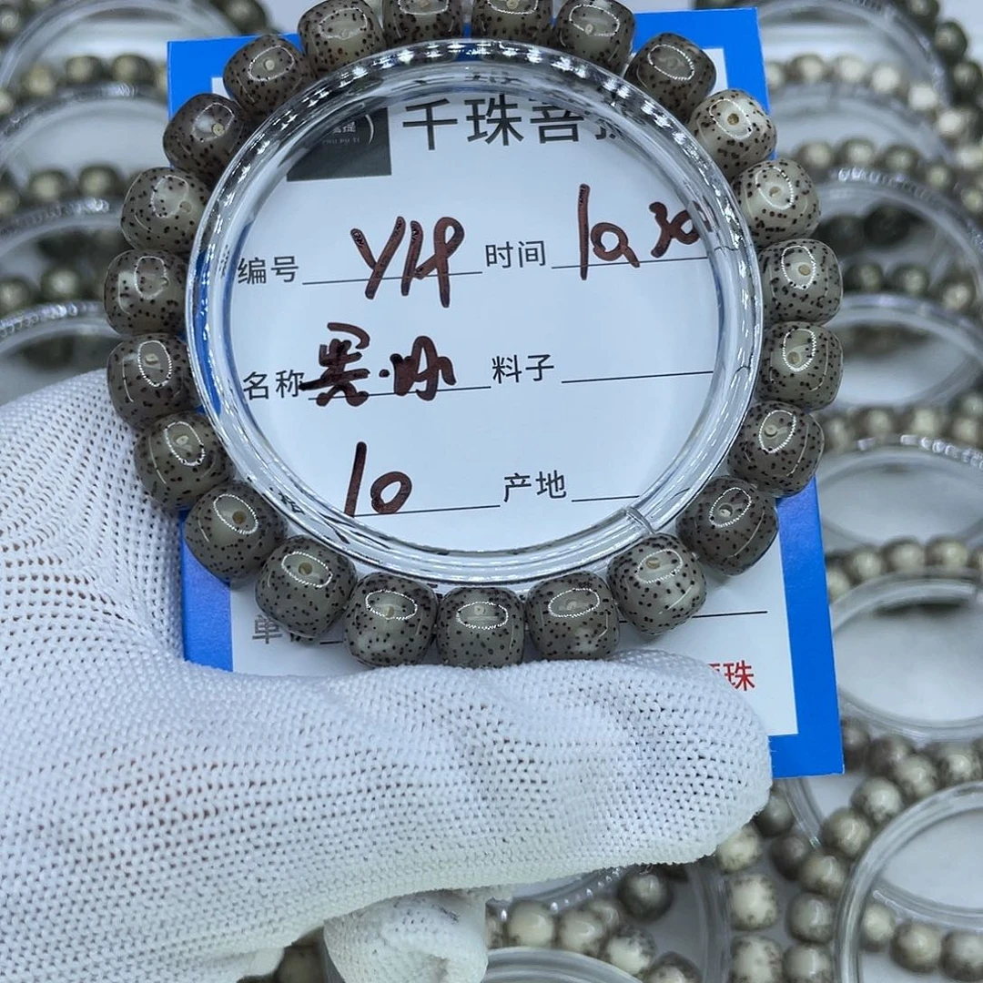 菩提籽类Y19黑冰00