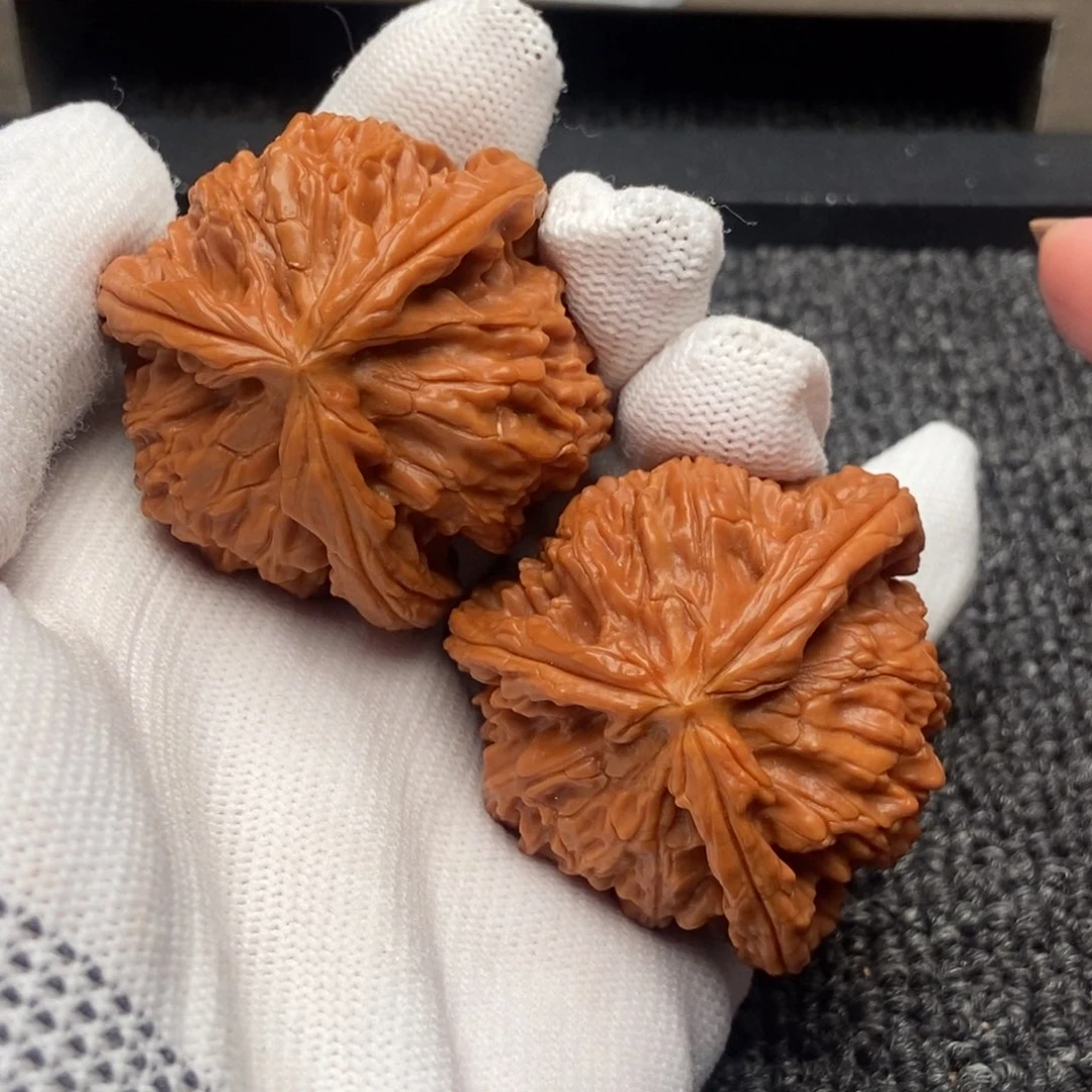 木质类白狮子正奔