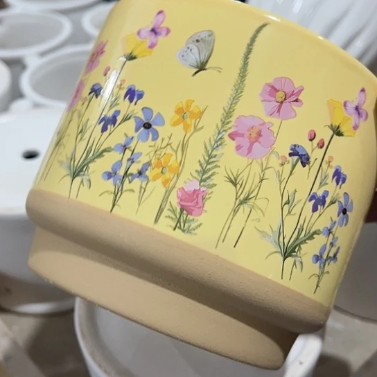 多肉绿植陶瓷花盆