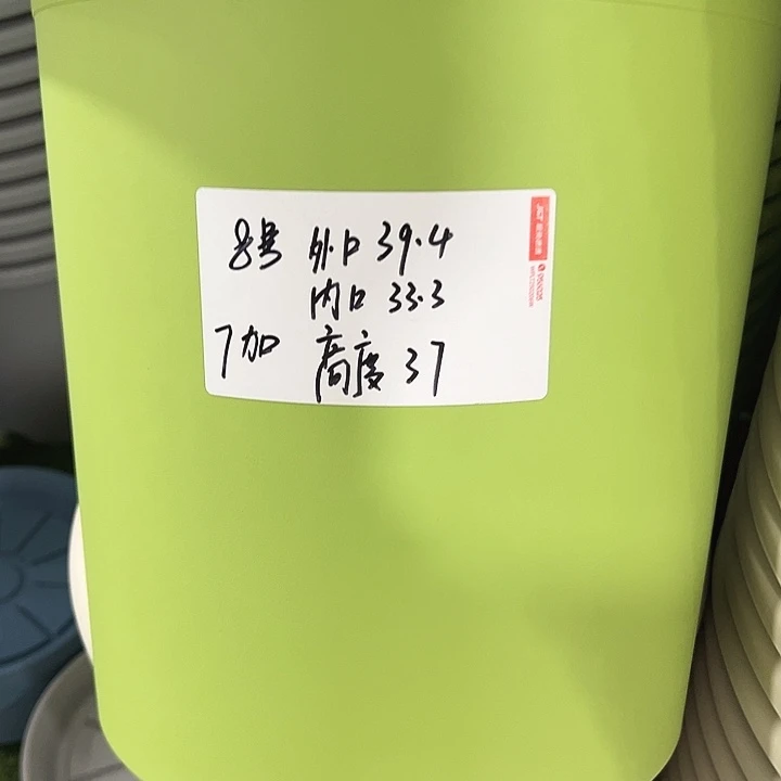 特价8号四季口39.4高37果绿无托3只