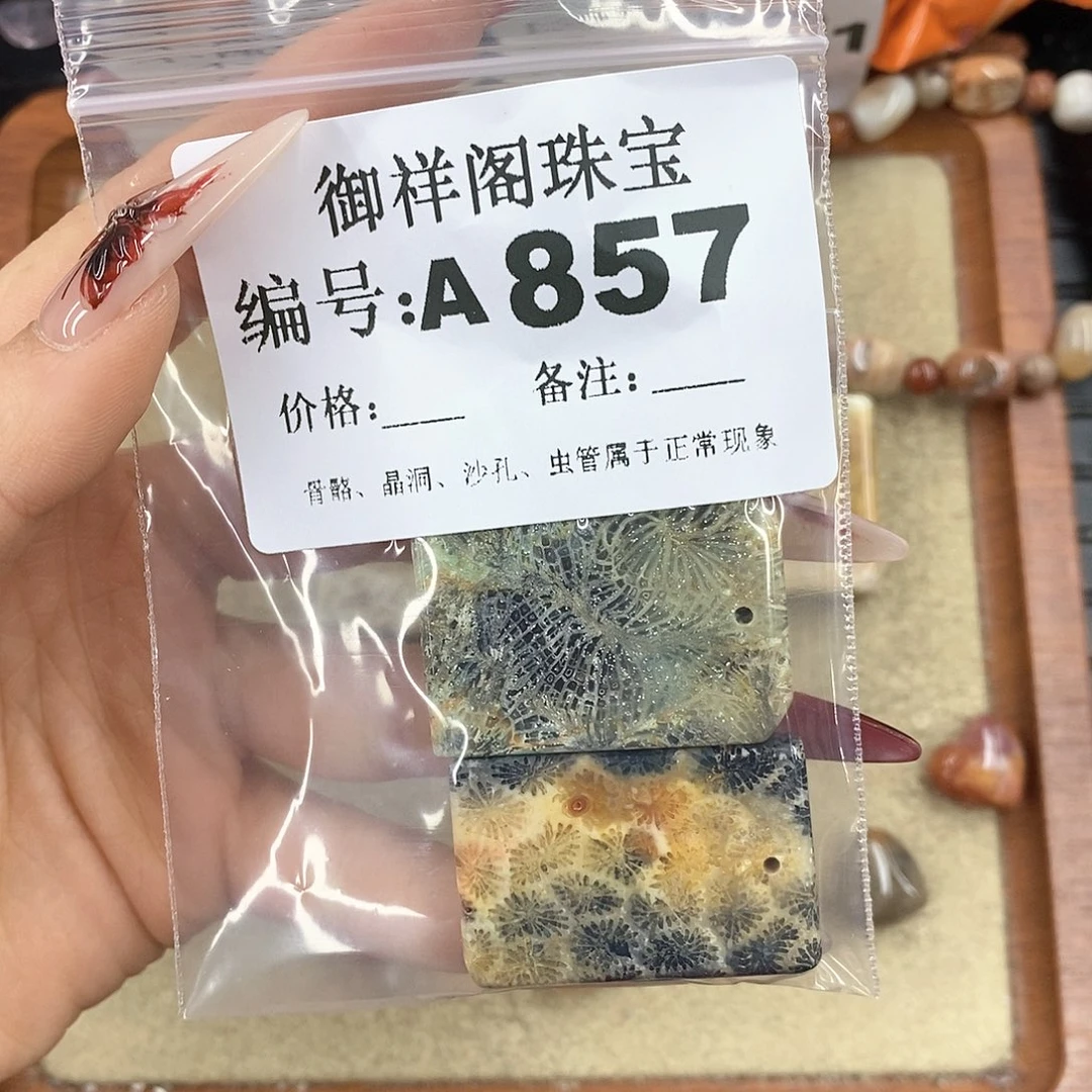 硅化珊瑚（珊瑚玉）颈饰未镶嵌闪****?