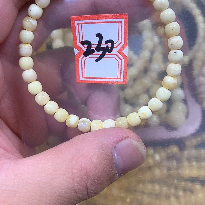 裸石琥珀未镶嵌5.5