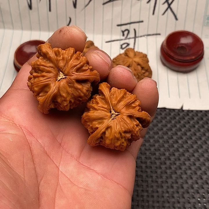 手串/手链核桃白狮子5