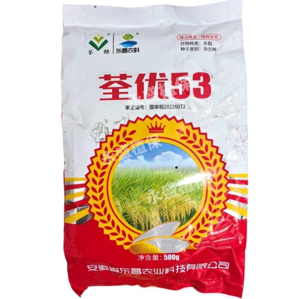 荃优53国审优质高产抗倒大穗杂交水稻种子长粒稻谷种子稻种